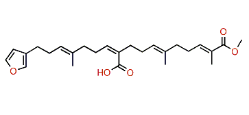 Furospongin 3